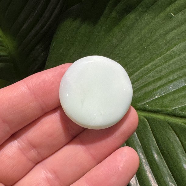 Chrysopras flad jumbo