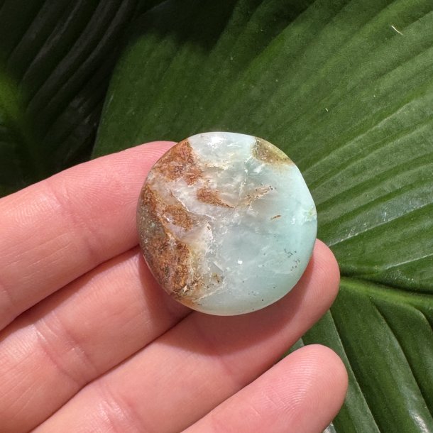 Chrysopras flad jumbo