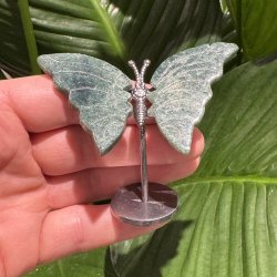 Mosagat sommerfugl st�ende p� fod