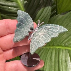 Mosagat sommerfugl st�ende p� fod