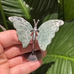 Mosagat sommerfugl st�ende p� fod