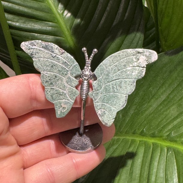 Mosagat sommerfugl st�ende p� fod