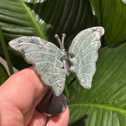 Mosagat sommerfugl st�ende p� fod