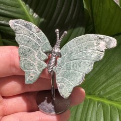 Mosagat sommerfugl st�ende p� fod