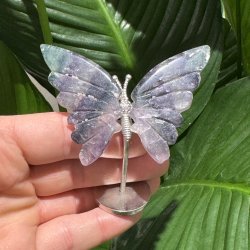 Fluorit sommerfugl st�ende p� fod