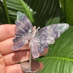 Fluorit sommerfugl st�ende p� fod