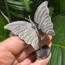 S�lv obsidian sommerfugl st�ende p� fod