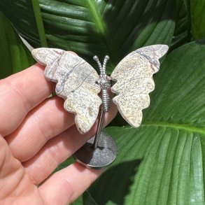 Billede jaspis sommerfugl st�ende p� fod