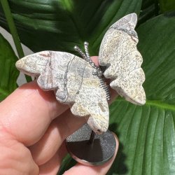 Billede jaspis sommerfugl st�ende p� fod