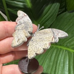 Billede jaspis sommerfugl st�ende p� fod