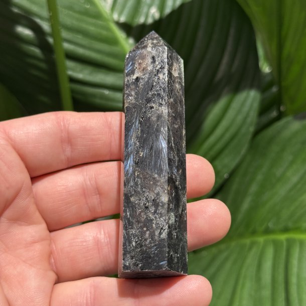 Astrophyllit t�rn 100mm