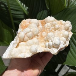 Hvid aragonit klynge