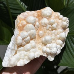 Hvid aragonit klynge