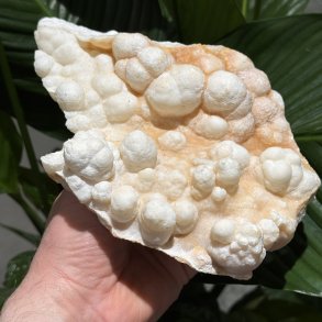 Hvid aragonit klynge