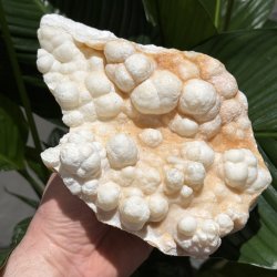 Hvid aragonit klynge