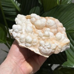 Hvid aragonit klynge