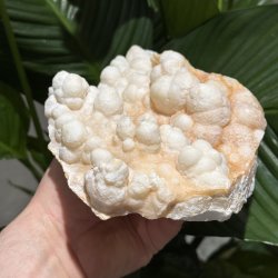 Hvid aragonit klynge