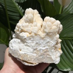 Hvid aragonit klynge