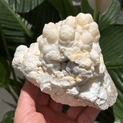 Hvid aragonit klynge