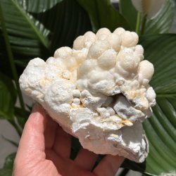 Hvid aragonit klynge