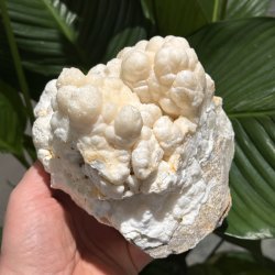 Hvid aragonit klynge