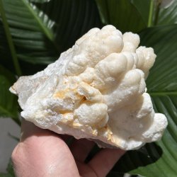 Hvid aragonit klynge