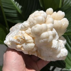 Hvid aragonit klynge