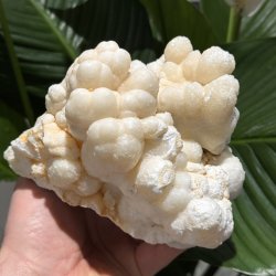 Hvid aragonit klynge