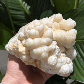 Hvid aragonit klynge