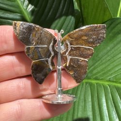 Tiger�je sommerfugl st�ende p� fod