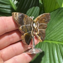 Tiger�je sommerfugl st�ende p� fod