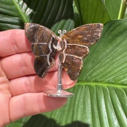 Tiger�je sommerfugl st�ende p� fod