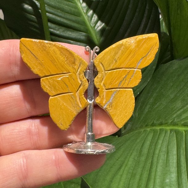 Mookait sommerfugl st�ende p� fod