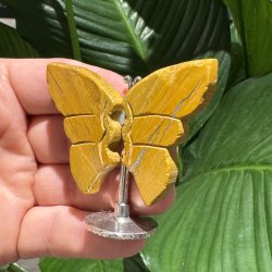 Mookait sommerfugl st�ende p� fod