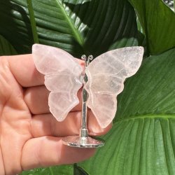 Rosenkvarts sommerfugl st�ende p� fod