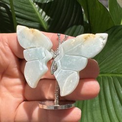 Amazonit sommerfugl st�ende p� fod