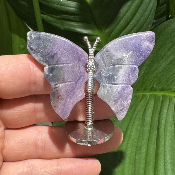 Fluorit sommerfugl st�ende p� fod