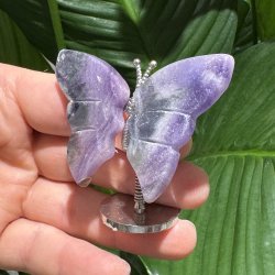 Fluorit sommerfugl st�ende p� fod