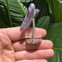 Fluorit sommerfugl st�ende p� fod