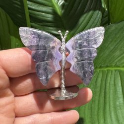 Fluorit sommerfugl st�ende p� fod