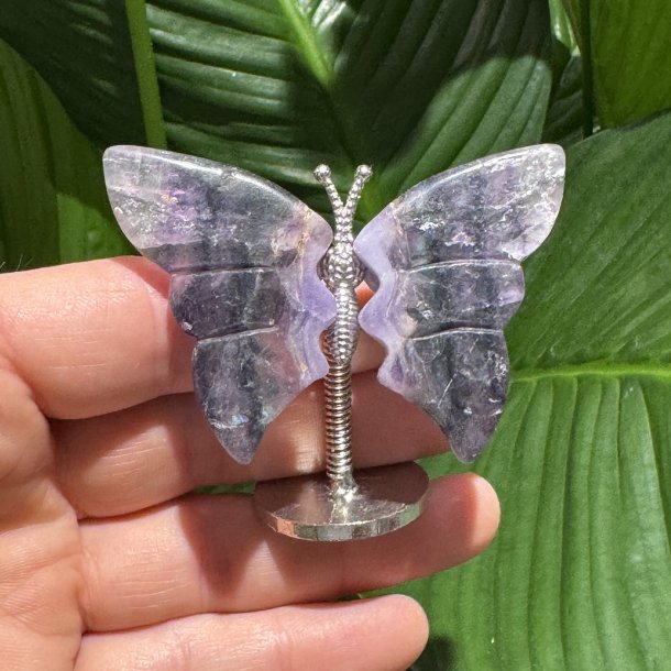 Fluorit sommerfugl st�ende p� fod