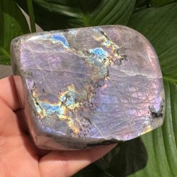 Lilla labradorit freeform