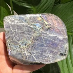 Lilla labradorit freeform