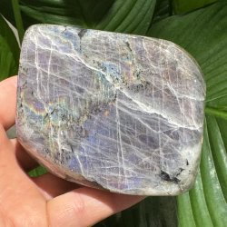 Lilla labradorit freeform