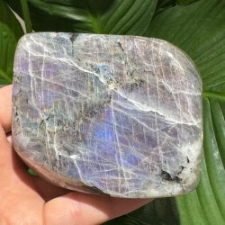 Lilla labradorit freeform