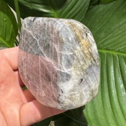 Lilla labradorit freeform