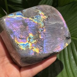 Lilla labradorit freeform