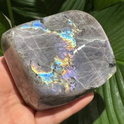 Lilla labradorit freeform