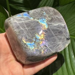 Lilla labradorit freeform