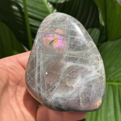 Lilla labradorit freeform